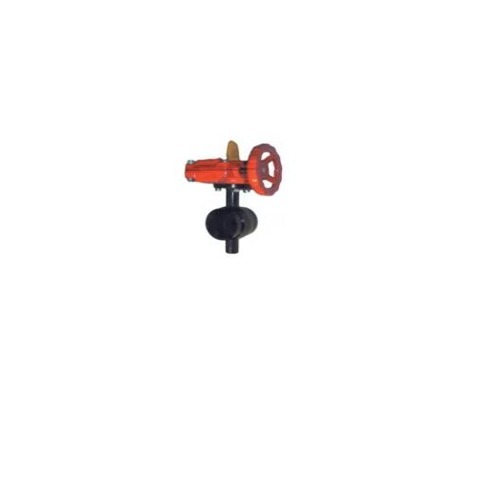 National Grooved End Butterfly Valve