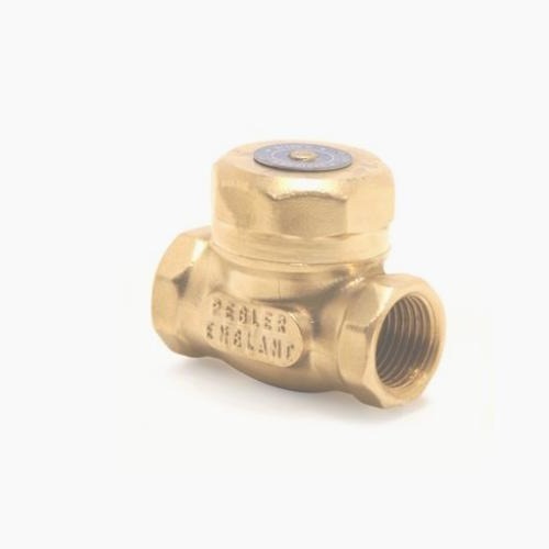 Pegler 1062 Swing Check Valve