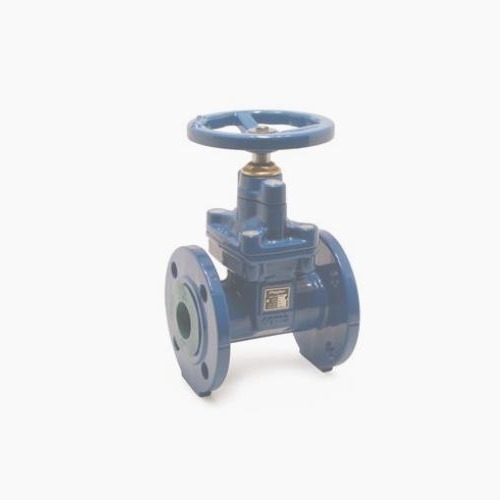 Pegler V850 Gate Valve